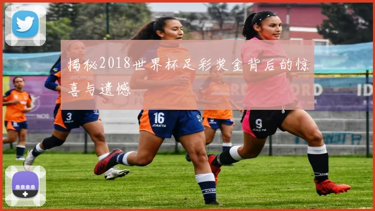 揭秘2018世界杯足彩奖金背后的惊喜与遗憾