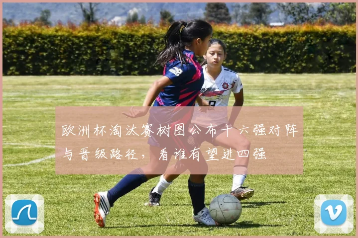 欧洲杯淘汰赛树图公布十六强对阵与晋级路径，看谁有望进四强