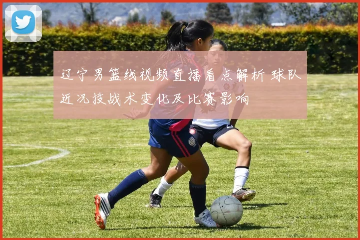 辽宁男篮线视频直播看点解析 球队近况技战术变化及比赛影响